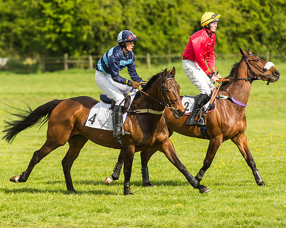 Race 5 - Restricted Race-23