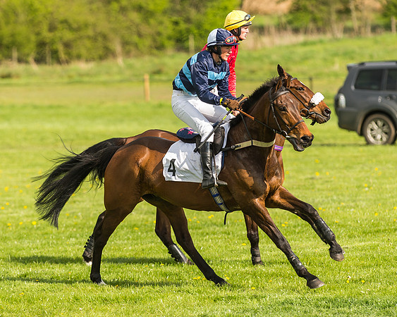 Race 5 - Restricted Race-24