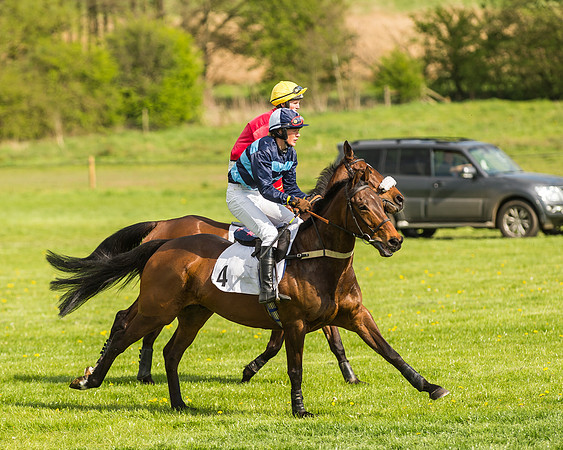 Race 5 - Restricted Race-25