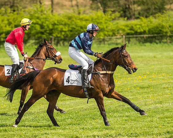 Race 5 - Restricted Race-26