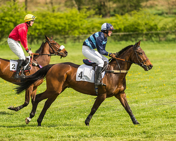 Race 5 - Restricted Race-27