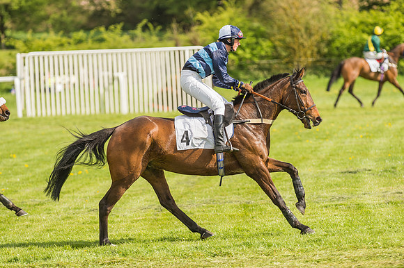 Race 5 - Restricted Race-28