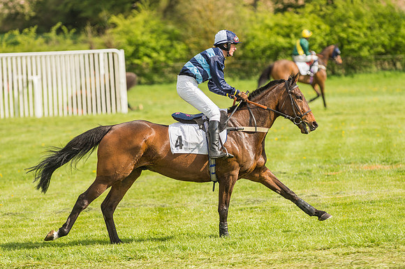 Race 5 - Restricted Race-29