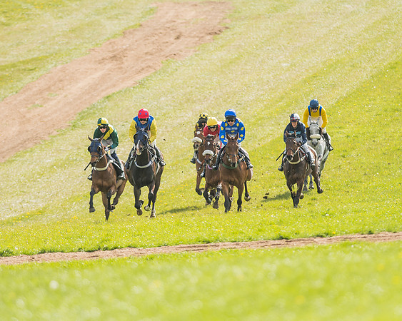 Race 5 - Restricted Race-30