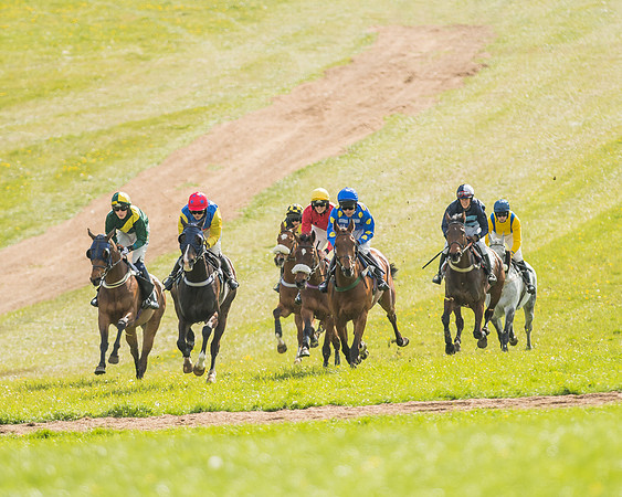 Race 5 - Restricted Race-31
