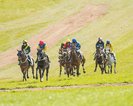 Race 5 - Restricted Race-32