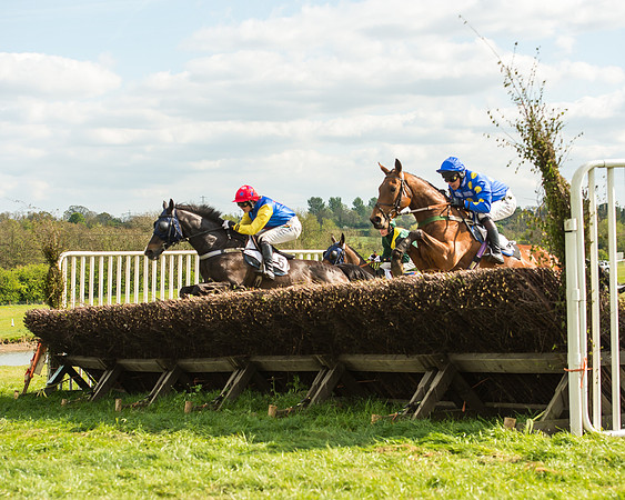 Race 5 - Restricted Race-33
