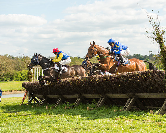Race 5 - Restricted Race-34