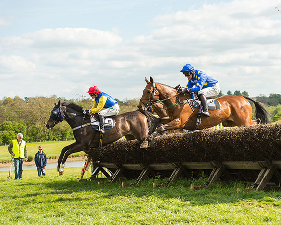 Race 5 - Restricted Race-35
