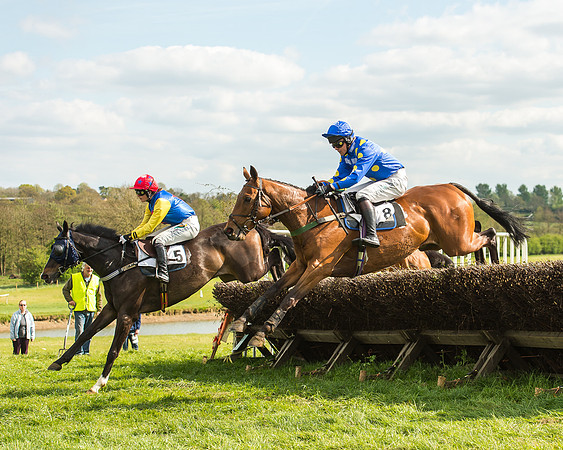 Race 5 - Restricted Race-36