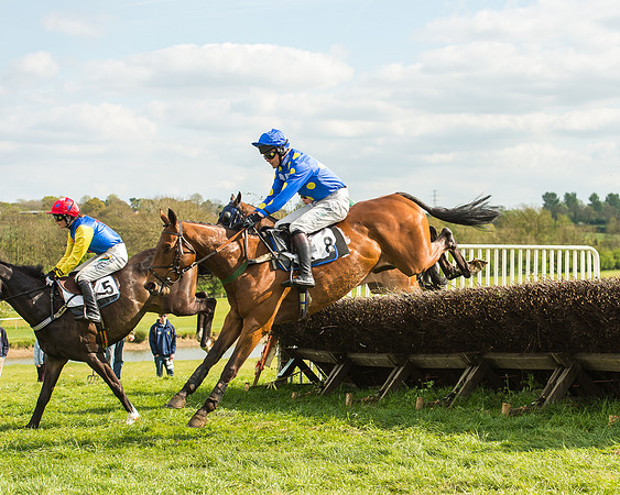 Race 5 - Restricted Race-37
