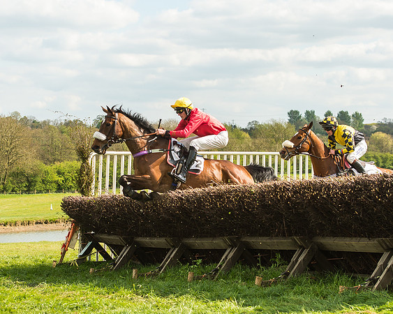 Race 5 - Restricted Race-38