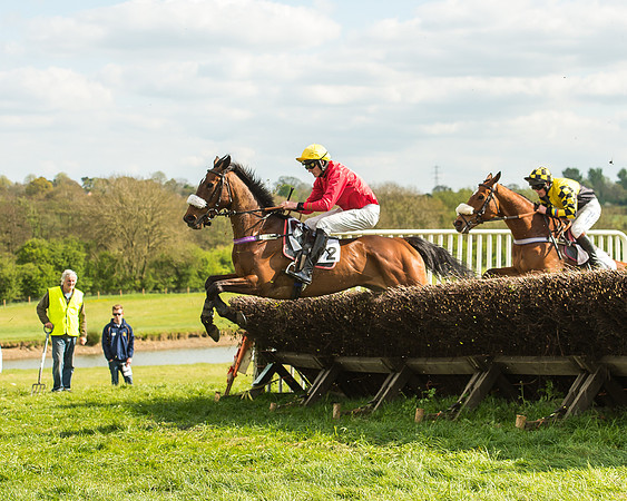 Race 5 - Restricted Race-39
