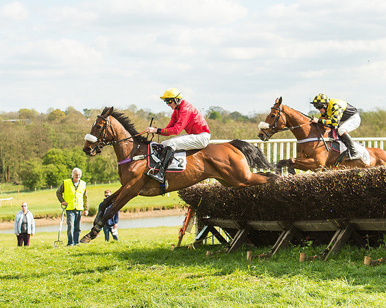 Race 5 - Restricted Race-40