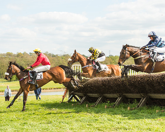Race 5 - Restricted Race-41