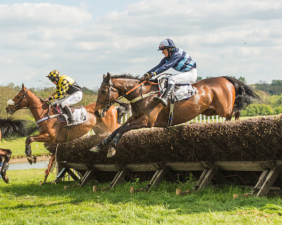 Race 5 - Restricted Race-42