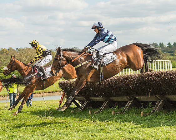 Race 5 - Restricted Race-43