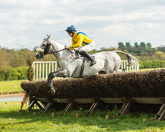 Race 5 - Restricted Race-45