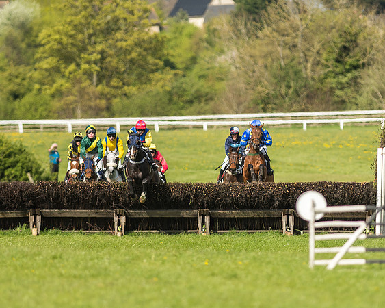 Race 5 - Restricted Race-47