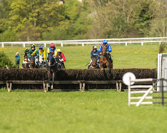 Race 5 - Restricted Race-48