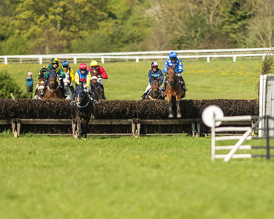 Race 5 - Restricted Race-49