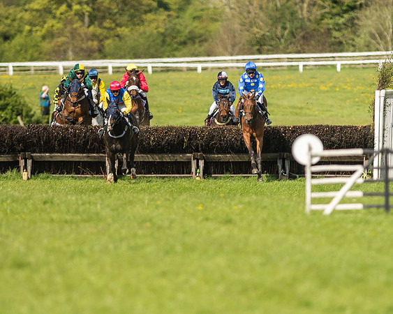 Race 5 - Restricted Race-50