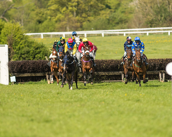 Race 5 - Restricted Race-51