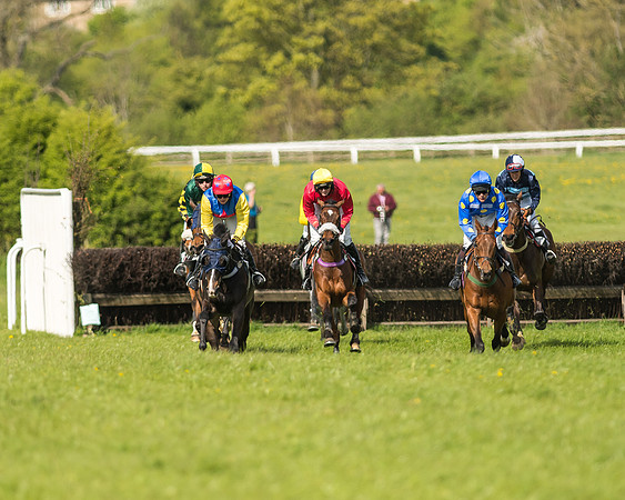 Race 5 - Restricted Race-52