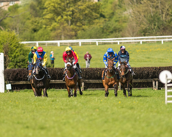 Race 5 - Restricted Race-53