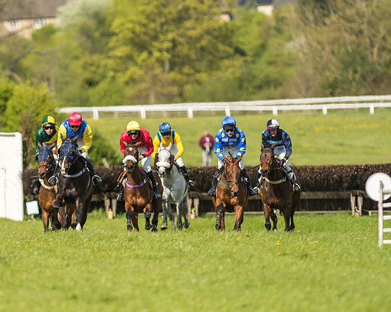 Race 5 - Restricted Race-54