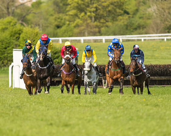 Race 5 - Restricted Race-55