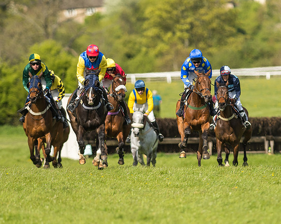Race 5 - Restricted Race-57