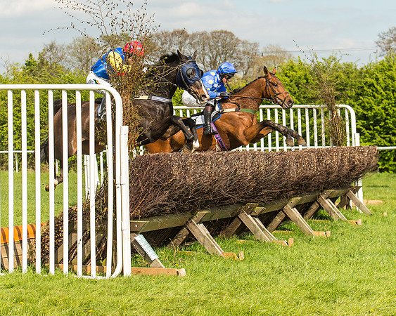 Race 5 - Restricted Race-58