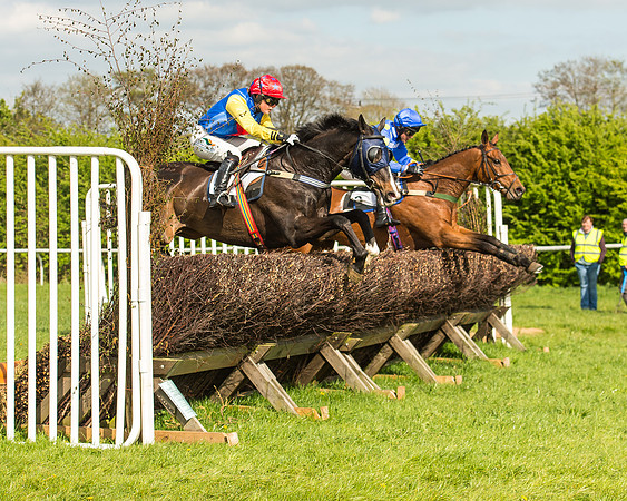 Race 5 - Restricted Race-59