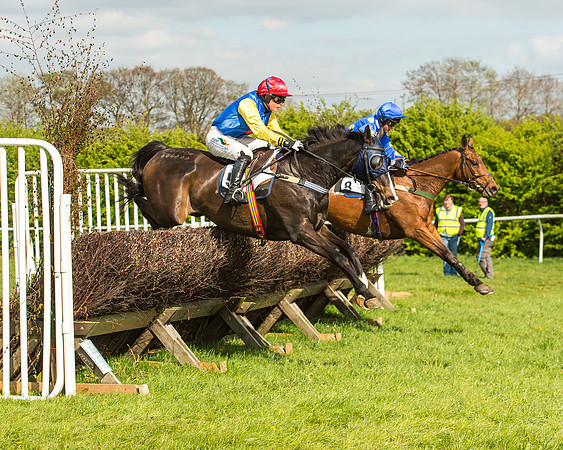 Race 5 - Restricted Race-60