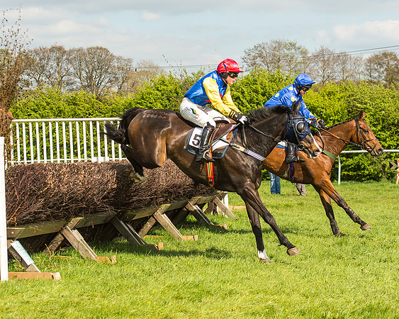 Race 5 - Restricted Race-61