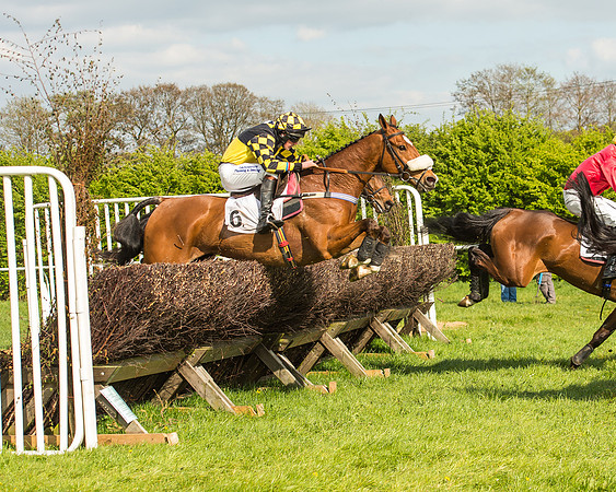 Race 5 - Restricted Race-64