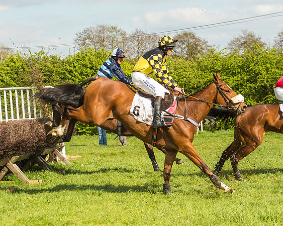 Race 5 - Restricted Race-66