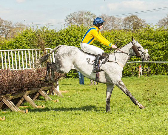 Race 5 - Restricted Race-68