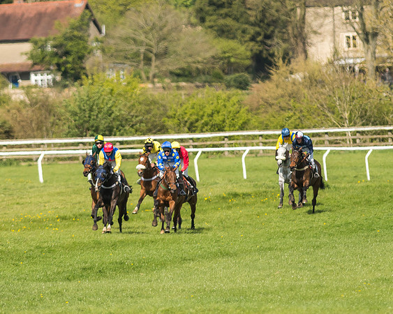 Race 5 - Restricted Race-69