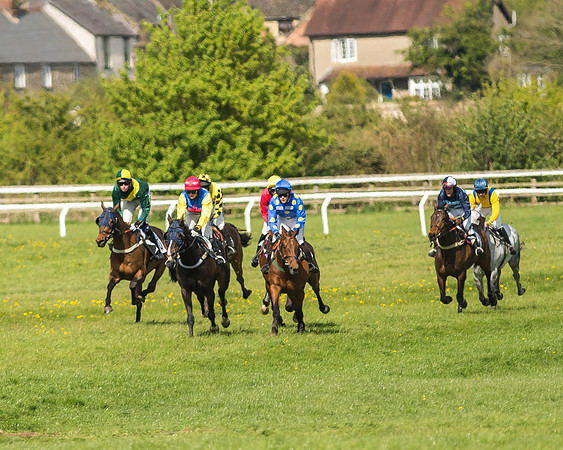 Race 5 - Restricted Race-70