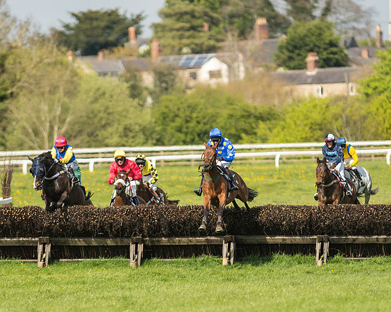 Race 5 - Restricted Race-71