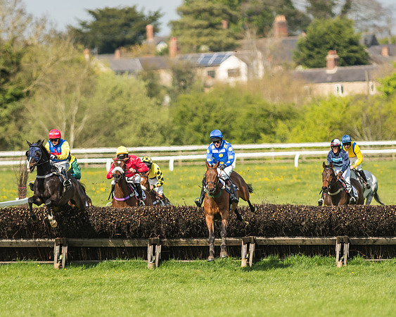 Race 5 - Restricted Race-72