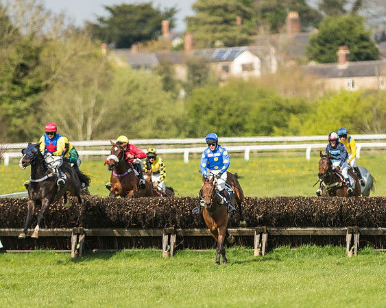 Race 5 - Restricted Race-73