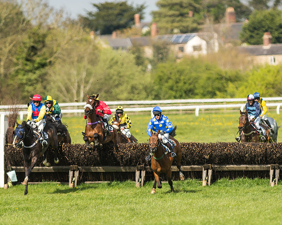 Race 5 - Restricted Race-74