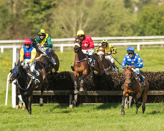 Race 5 - Restricted Race-75