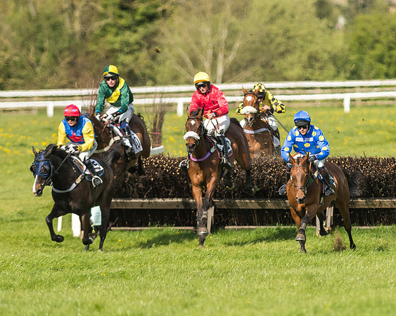 Race 5 - Restricted Race-76