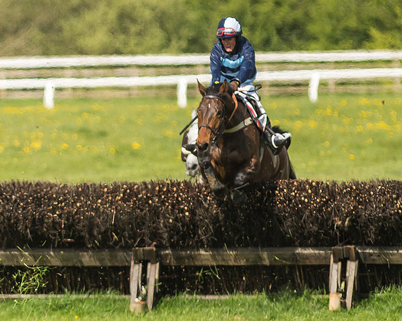 Race 5 - Restricted Race-77