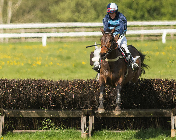 Race 5 - Restricted Race-78
