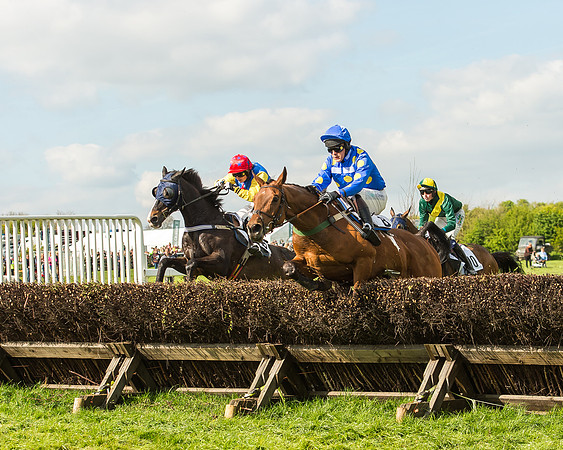 Race 5 - Restricted Race-79